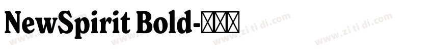 NewSpirit Bold字体转换